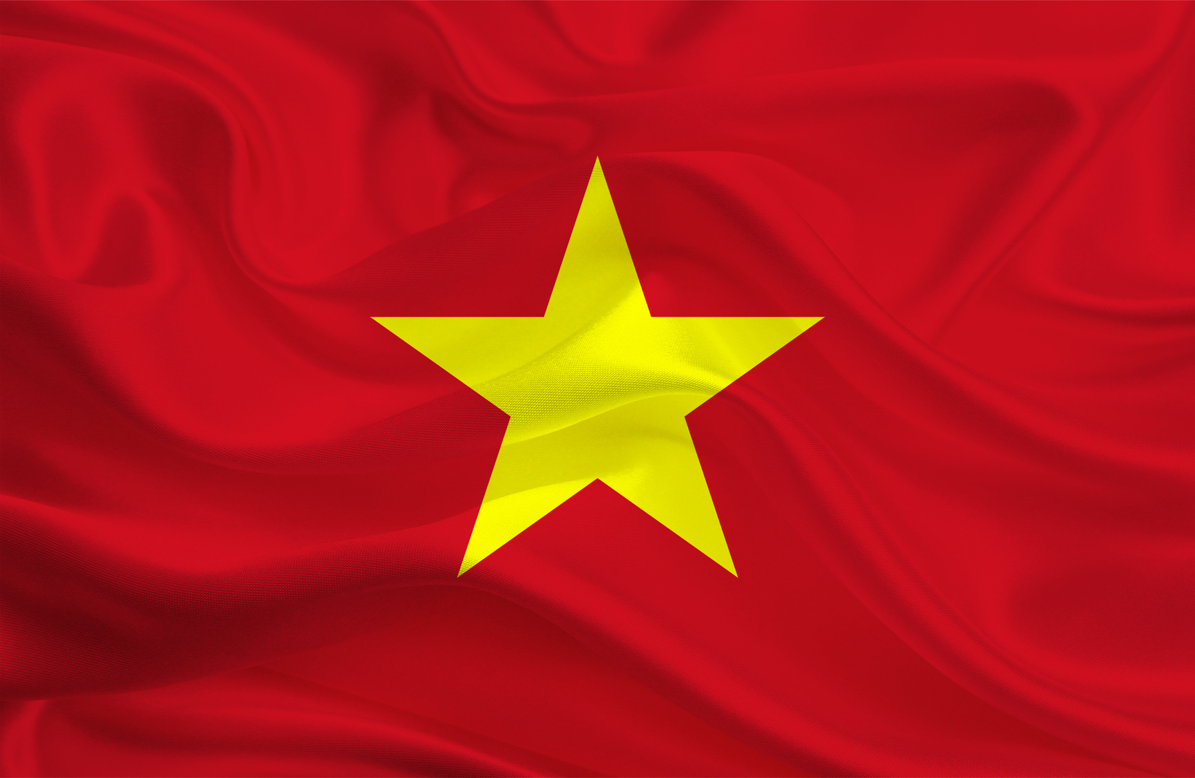 Vietnam flag